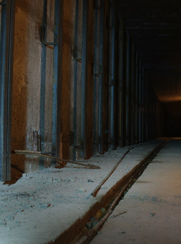 станция Пушкинская стихи и метро