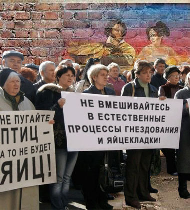 состоялся митинг в защиту пернатых граффити с митингом
